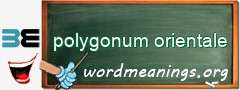 WordMeaning blackboard for polygonum orientale